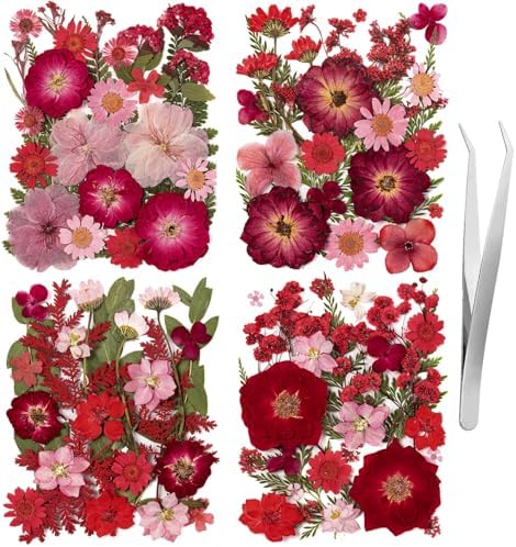 101 PCS Red Dried Pressed Flowers for Christmas Crafts Resin, Red Real Nature Flowers Bulk for DIY Holiday Cake Card Scrapbook Supplies, Large Dried Flowers for Soap Candle Making by LGFMGWH