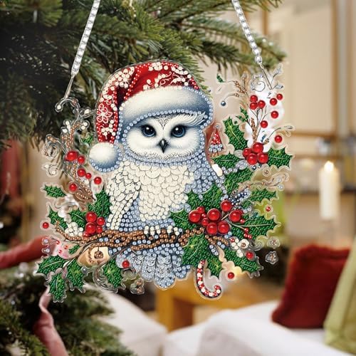 Auremi Christmas Diamond Art Painting Pendant Kits with Chain,5D Owl Diamond Art Hanging Kit DIY Diamond Crystal Window Door Hanging Pendant Kit for Adults Gift Wall Decor - Image 5