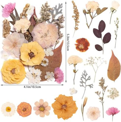 90pcs Boho Pressed Flowers Bulk, Vintage Dried Flower Leaves, Natural Fall Pressed Dried Flowers with Tweezer for DIY Crafts Resin Mold Candles Cake Bridal Scrapbooking Supplies - Image 2