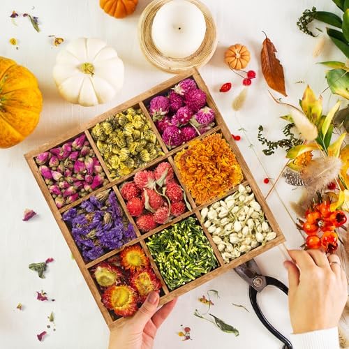 [Latest] 40 Pack Dried Flowers for Candle Making, 100% Natural - Image 2