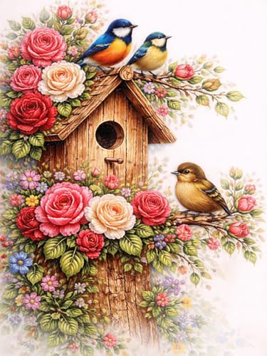 Diamond Art Kits for Adults, Birds Diamond Art Painting Kits for Adults by croshom