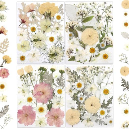LUXEEASE 80P White Pink Dried Pressed Flowers by LUXEEASE