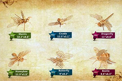 3D Wooden Insect Puzzle - 6 Piece Set Insect Animal Skeleton Assembly Model Puzzle - DIY Wooden Crafts 3D Puzzle - Wood STEM Gifts for Adults & Teens Birthday Gifts Christmas - Image 2
