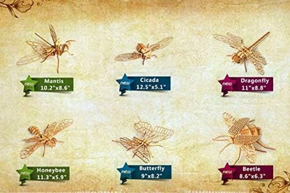 3D Wooden Insect Puzzle - 6 Piece Set Insect Animal Skeleton Assembly Model Puzzle - DIY Wooden Crafts 3D Puzzle - Wood STEM Gifts for Adults & Teens Birthday Gifts Christmas - Image 2