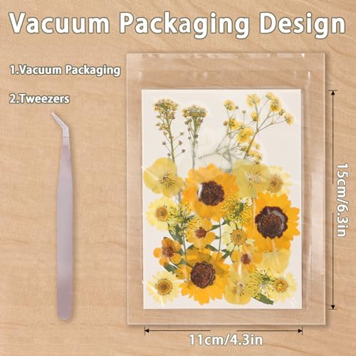 200Pcs Dried Pressed Flowers Resin Mould Real Flowers Natural Dry Leaves Bulk Mixed Colorful Herbs Kit with Tweezers for Scrapbooking DIY Candle Jewelry Crafts Making Nails Decoration(Multicolor) - Image 3