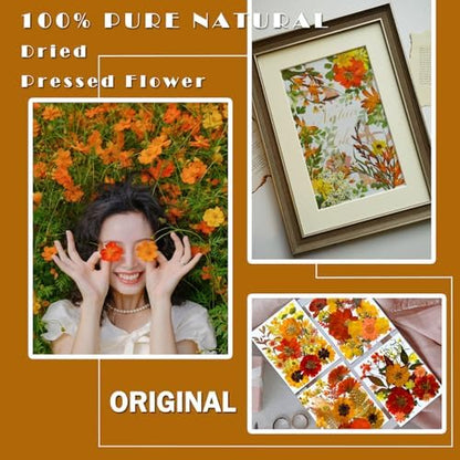 MIKIYA 90Pcs Fall Pressed Dried Flowers for Resin, Real Assorted Autumn Natural Bulk Orange Dry Floral Leaves for DIY Art Crafts, Epoxy Molds, Jewelry, Soap, Candle Making - Image 2