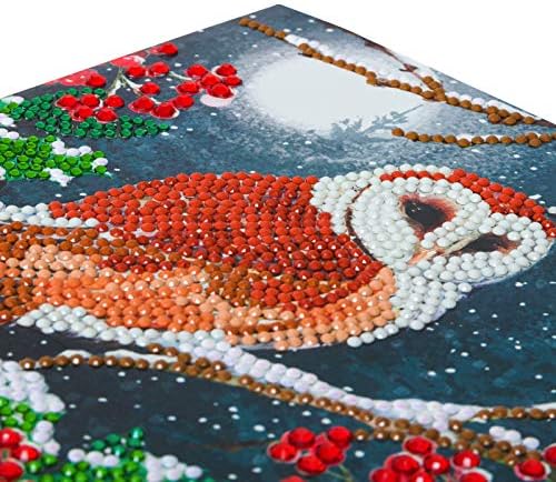 Crystal Art Diamond Painting Card Kit - Barn Owl- Create Your Own 7"x7" Card Kit - for Ages 8 and up - Image 3