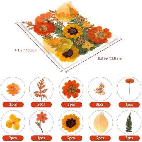 Dried Pressed Flowers Real Natural Petals Bulk Dried Leaves Plant for DIY Art Resin Candle Jewelry Making Bookmarks Scrapbooking Card Decorations Phone Case - Image 2