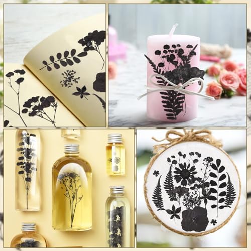 Fabbay 200 Pcs Dried Pressed Flowers Natural Leaves for Resin Nail, Black - Image 6