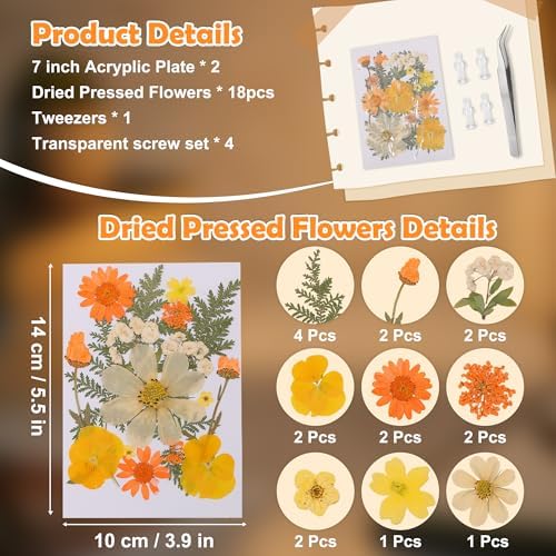 Pressed Flower Frame Lamp, LED DIY Frame Night Light for Pressed Flowers, Mother Day Birthday Gifts for Mom Love Girlfriend, Home Bedroom Table Decor Xmas Holiday Valentine's Day Idea - Image 3