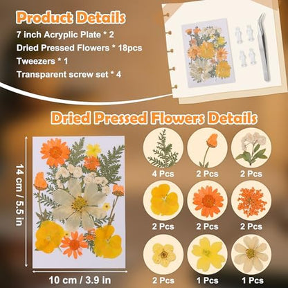 Pressed Flower Frame Lamp, LED DIY Frame Night Light for Pressed Flowers, Mother Day Birthday Gifts for Mom Love Girlfriend, Home Bedroom Table Decor Xmas Holiday Valentine's Day Idea - Image 3