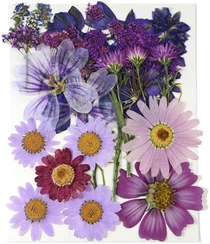 Purple Dried Pressed Flowers Real Natural Petals Bulk for Scrapbooking Art Crafts DIY Gift Papermaking Resin Party Decorations Candle Soap Card Jewelry Making Supplies by Unknown
