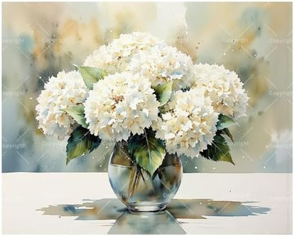 Floral Bouquet Paint by Numbers Kit for Adults - DIY White Hydrangeas in Glass Vase Painting on Canvas 12x16In, Framed Acrylic Paint Set, Suitable for Beginners, for Home Decoration or Gifts by Unknown