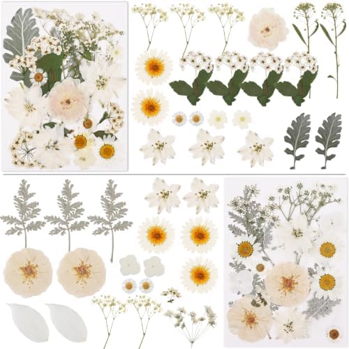 NESCCI 83 Pcs Dried Flowers for Crafts,Real Natural Dried Pressed Flowers - Image 2