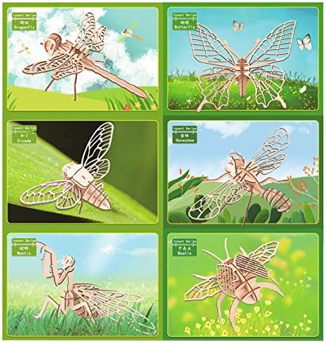 3D Wooden Insect Puzzle - 6 Piece Set Insect Animal Skeleton Assembly Model Puzzle - DIY Wooden Crafts 3D Puzzle - Wood STEM Gifts for Adults & Teens Birthday Gifts Christmas - Image 3