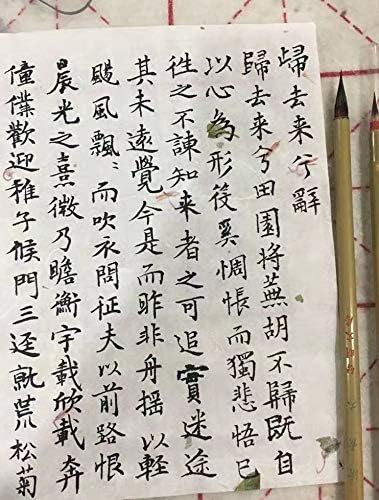 Qi Ming Wen Fang Professional Calligraphy brush, Xiaokai Chinese Brush for Small Regular Script, Chinese Calligraphy Brush, Weasel Hair Brush for Chinese or Japanese Kanji 1pc (QingSu Large 1pc)