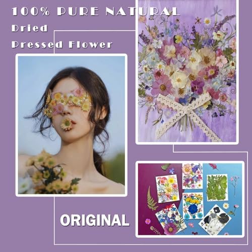 MIKIYA 133Pcs Dried Pressed Flowers for Resin Molds, Assorted Real Natural Bulk Dry Floral Leaves for DIY Art Crafts, Epoxy Jewelry, Soap, Candle Making, Nails Decor - Image 2