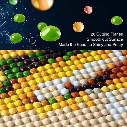 Eiazuiks Diamond Painting Kits for Adults, Books 5D DIY Diamond Art Kits Full Drill Diamond Dots for Gift Wall Decor and Relaxation Gem Arts 12x16 inch - Image 5