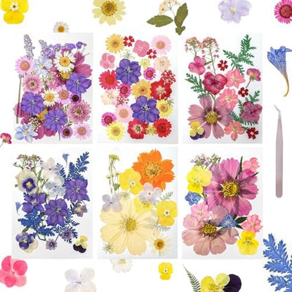 Dried Pressed Flowers Real Pressed Flowers Natural Dry Leaves Bulk Mixed Colorful Herbs Kit with Tweezers for Scrapbooking DIY Candle Jewelry Crafts Making Nails by Gvhntk