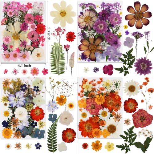 420 Pcs Dried Pressed Flowers for Resin,Bulk Natural Real Dried Flowers - Image 2