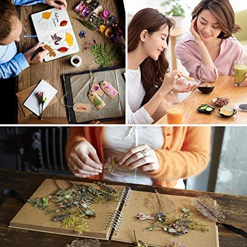 15g/Bag Dried Flowers,100% Natural Dried Flowers Herbs Kit for Soap Making, DIY Candle Making,Bath - Include Rose Petals,Lavender,Don't Forget Me,Lilium,Jasmine,Rosebudsand More(16 Bags) - Image 6