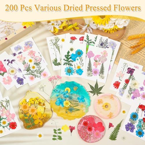 Evatage 200 Pcs Small Dried Pressed Flowers for Resin Crafts - Image 2