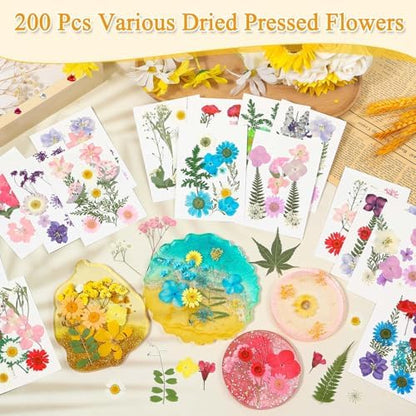 Evatage 200 Pcs Small Dried Pressed Flowers for Resin Crafts - Image 2