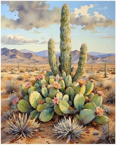 TAOPAOLAB Cactus Desert Scene Paint by Numbers Kit for Adults – DIY Saguaro and Prickly Pear Painting on Canvas 16x20 Inch, Acrylic Paint Set, Suitable for Beginners, Art for Home Decoration or Gifts by Unknown