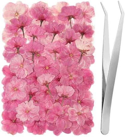 101 PCS Pressed Cherry Blossom for Crafts, Pink Dried Pressed Flowers for Resin DIY Jewelry Making Cake Card Scrapbook Decor, Dried Sakura Flowers for Soap Candle Making by LGFMGWH