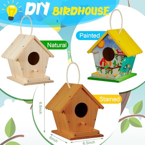 Juexica 2 Pack DIY Birdhouse Kits for Kids 8+ Build and Paint, Rotundity - Image 2
