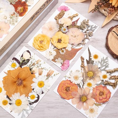 90pcs Boho Pressed Flowers Bulk, Vintage Dried Flower Leaves, Natural Fall Pressed Dried Flowers with Tweezer for DIY Crafts Resin Mold Candles Cake Bridal Scrapbooking Supplies - Image 3