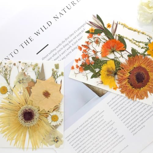 34 Types 60PCS Real Dried Pressed Flowers Leaf Plant Herbarium for DIY Resin Jewelry Making Floral Decors Candle Soap Scrapbook Supplies Card - Image 5