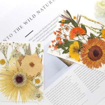 34 Types 60PCS Real Dried Pressed Flowers Leaf Plant Herbarium for DIY Resin Jewelry Making Floral Decors Candle Soap Scrapbook Supplies Card - Image 5