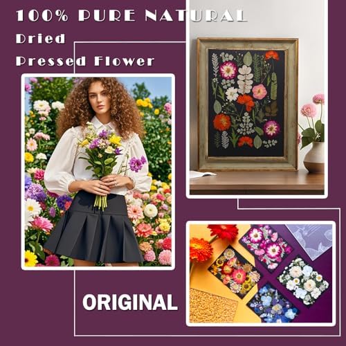 MIKIYA 92Pcs Pressed Dried Flowers for Resin, Real Assorted Natural Bulk Dry Floral Leaves for DIY Art Crafts, Epoxy Molds, Jewelry, Soap, Candle Making, Nails Decors - Image 2
