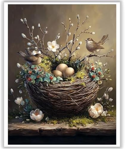 HITO Bird Paint by Numbers Kit for Adults, Paint by Numbers Kits for Adults by HITO