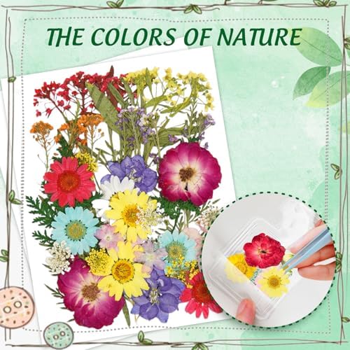 Large Size Bookmark Set, Pressed Flowers Bookmark Set, Bookmarks Making kit, Include Real Flowers Leaves, Cute Glass Bottle Shape, Handmade DIY with Tweezers Puncher Colorful Tassels - Image 4