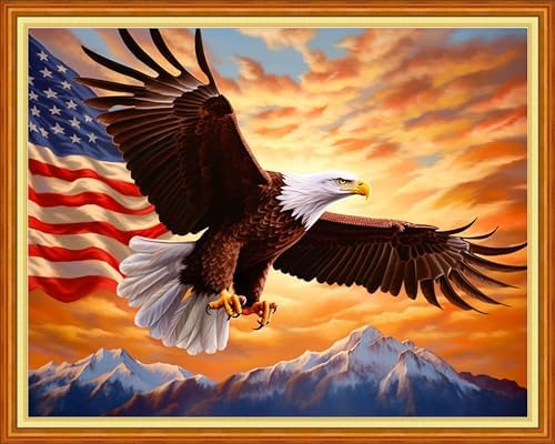 Joyhoor Cross Stitch Kits for Beginners Stamped Cross-Stitch Supplies Needlework preprint Embroidery Kits for Adults DIY Needlepoint Kits Embroidery Patterns 11CT-Flag Eagle 16x20 inchs by JoyhoorCrossStitchKits