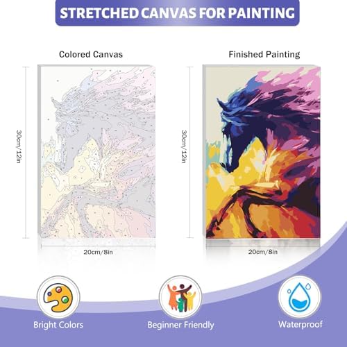 Framed Paint by Numbers Kit for Adults Beginner & Kids Ages 8-12, Abstract Horse Paint by Numbers Kits on Canvas, without Easel, DIY Acrylic Number Painting for Adults for Home Decor Gift 8 x 12 Inch - Image 5