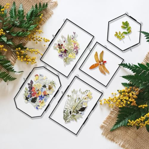 FOCHIER F 5 Pcs Pressed Flower Frames with Tweezers, Wall Hanging Tabletop Display Double Glass Frames with Metal Chain for Pressed Dried Flowers Plants, Horizontal and Vertical Picture Frame, Black - Image 3