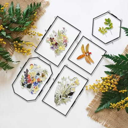 FOCHIER F 5 Pcs Pressed Flower Frames with Tweezers, Wall Hanging Tabletop Display Double Glass Frames with Metal Chain for Pressed Dried Flowers Plants, Horizontal and Vertical Picture Frame, Black - Image 3