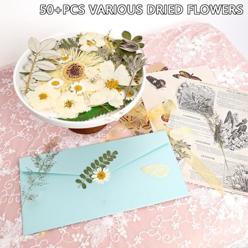 50Pcs Dried Pressed Flowers Real Pressed Flowers Natural Dry Leaves Bulk Mixed Colorful Herbs Kit with Tweezers for Scrapbooking DIY Candle Jewelry Crafts Making Nails (White) - Image 4