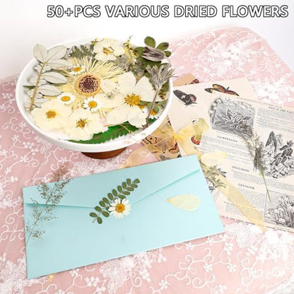 50Pcs Dried Pressed Flowers Real Pressed Flowers Natural Dry Leaves Bulk Mixed Colorful Herbs Kit with Tweezers for Scrapbooking DIY Candle Jewelry Crafts Making Nails (White) - Image 4