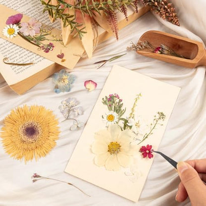 140pcs Dried Pressed Flowers Bulk, Natural Fall Pressed Dried Flowers with Tweezer for DIY Crafts Resin Mold Candles Cake Bridal Scrapbooking Supplies - Image 7