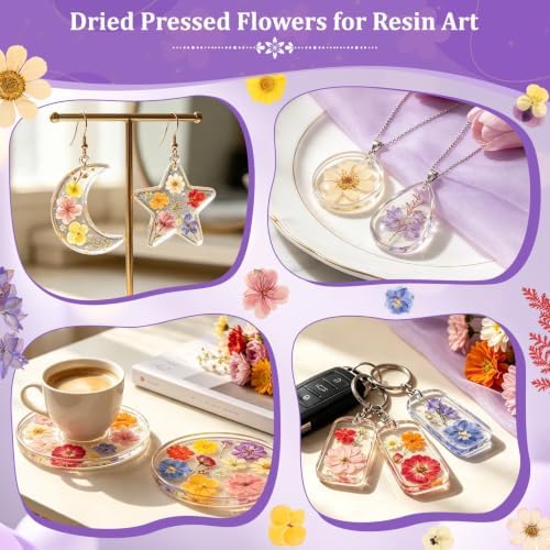 Evatage 480 Pcs Real Dried Pressed Flowers for Resin Crafts - Image 6