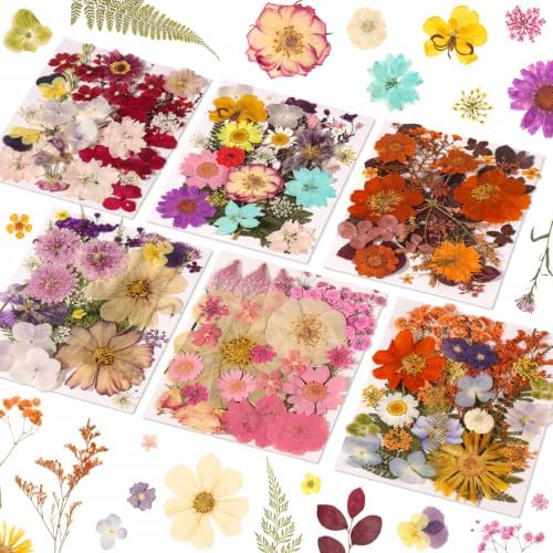 Evatage 180 Pcs Real Dried Pressed Flowers for Resin Crafts by Evatage