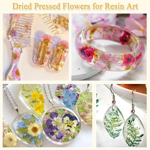 Evatage 124 Pcs Real Dried Pressed Flowers and Leaves for Resin Crafts - Image 2