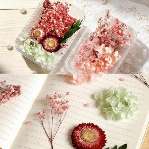 2PCS Dried Flowers Kit, Natural Dried Flowers Kit for DIY Crafts, Scrapbook, Card Making (Style_5_34) - Image 2