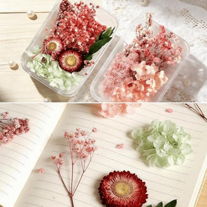 2PCS Dried Flowers Kit, Natural Dried Flowers Kit for DIY Crafts, Scrapbook, Card Making (Style_5_34) - Image 2