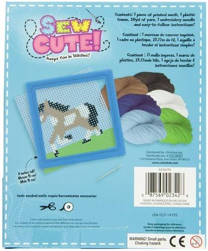 Colorbok Q2342A Horse Learn to Stitch Needlepoint Kit, 6-Inch by 6-Inch, Blue Frame - Image 3