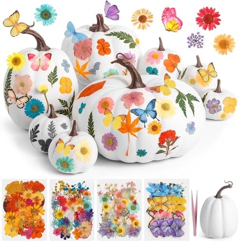 Canlierr 8 Pcs Large Craft Pumpkins & 150 Dried Flower, White by Canlierr